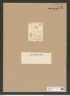 Triceratium timidum Grev. (de-Toni-Nr.: Genus 140, Species 3942) Zeichnungen Sammlung Grunow Nr. 7423 (NHMW-BOT-W0376505)